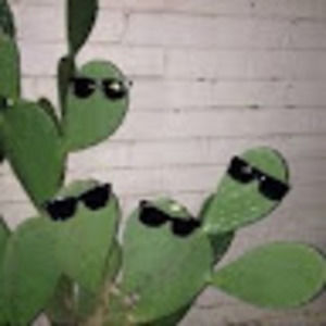 Meet your Posher, Danaka